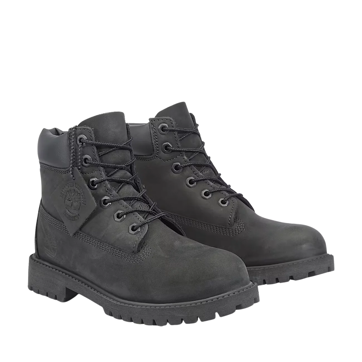 Timberland Grade School 6 Inch Lace Premium Waterproof Boot Black